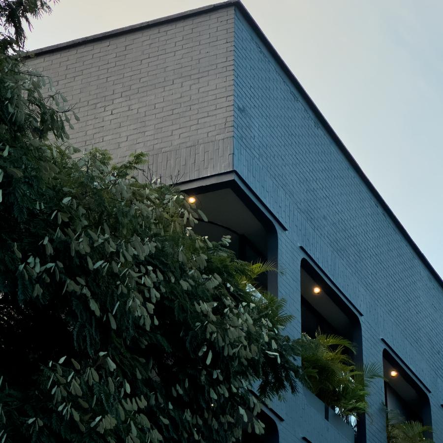 estudio-5